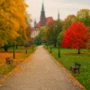 Jesienny park we Wrocławiu z alejką spacerową, kolorowymi liśćmi i widokiem na zabytkowy kościół w tle