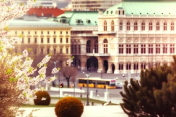 Kwiaty kwitnące przed Wiedeńską Operą Narodową w marcu