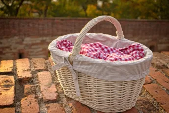 Wielokulturowy piknik w Parku Pawłowickim – niedziela pełna smaków i muzyki