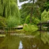 Ogród Botaniczny Wrocław – staw z mostkiem i zielenią