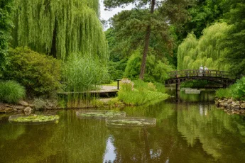 Ogród Botaniczny Wrocław – staw z mostkiem i zielenią