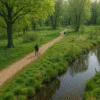 Spokojna ścieżka spacerowa w Parku Zachodnim we Wrocławiu z widokiem na dziką przyrodę, ptaka brodzącego przy strumieniu i osobę spacerującą z psem